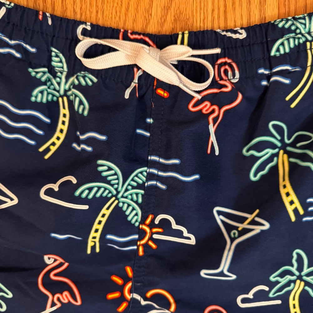 Chubbies Swim Shorts - Fun Pattern - image 3
